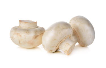 Champignon mushroom on white background
