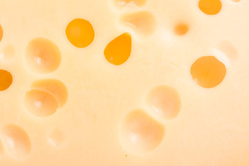 Cheese with large holes as background closeup