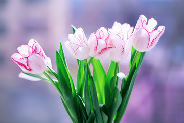 Bouquet of tulips on city blurred background