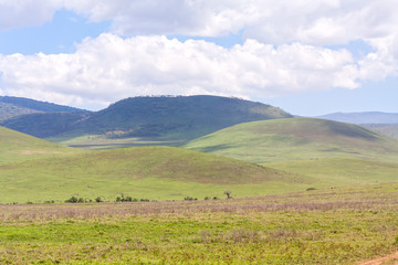 View on huge Ngorongoro caldera (extinct volcano crater) from within against blue sky background. Great Rift Valley, Tanzania, East Africa.
