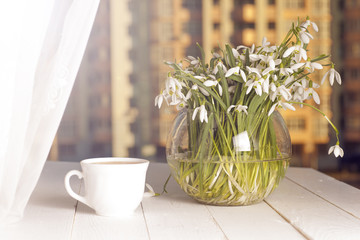 flower on the book in front of the window in the morning. Copy space for text.