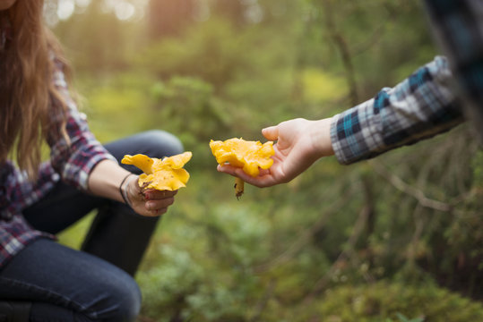 Children holding mushrooms in hands