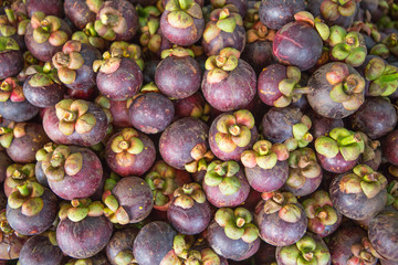Mangosteen fruit