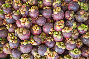 Mangosteen fruit