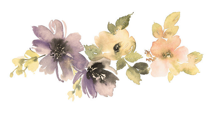 Flowers watercolor illustration