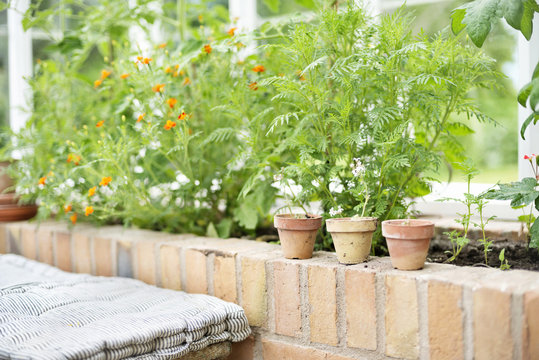 Bench and flowers in conservatory