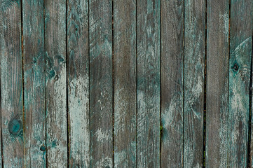 Turquoise old fence with peeling paint. Texture