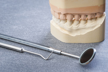 Teeth mold with dental tools