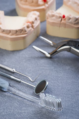 Teeth mold with dental tools and brush