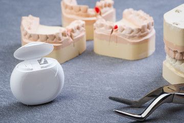 Teeth mold with dental forceps and floss
