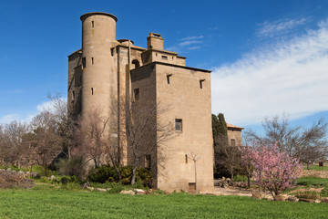 Fototapeta na wymiar Castle-Mill of Ratera