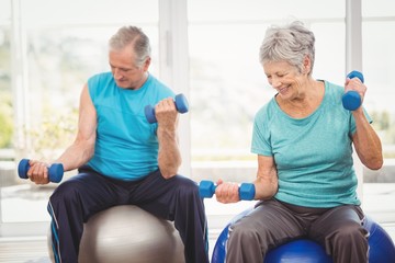 Fototapeta na wymiar Smiling senior couple holding dumbbells while exercising