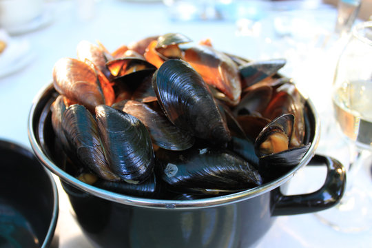 Pot of Mussels Close Up