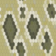 Snake skin texture. Seamless pattern python. Vector