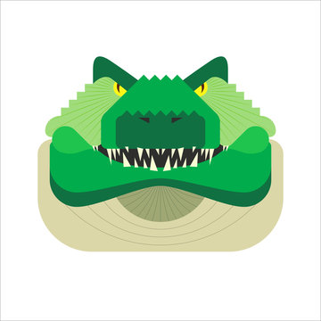 Vector Stylized Geometric Crocodile Illustration Isolated On White Background. Flat Style Alligator Head Icon. Angry, Aggressive Wild Croc. For Web, App, Logo Design.