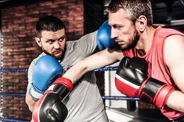 Two athletes boxers sparred in the ring. Kicking and blocking the hit. One athlete in blue boxing...