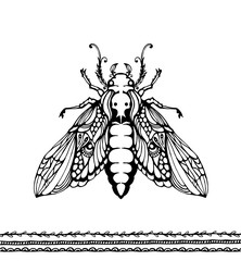 Insect vector illustration