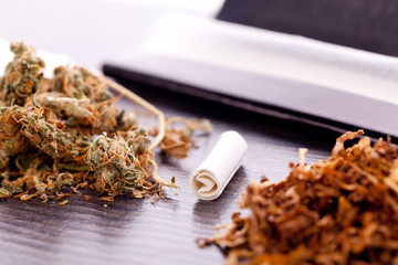 Dried Cannabis on Rolling Paper with Filter