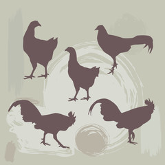 Hen and Rooster silhouette on grunge background. vector