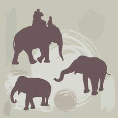 Fototapeta premium elephants silhouette on grunge background. vector