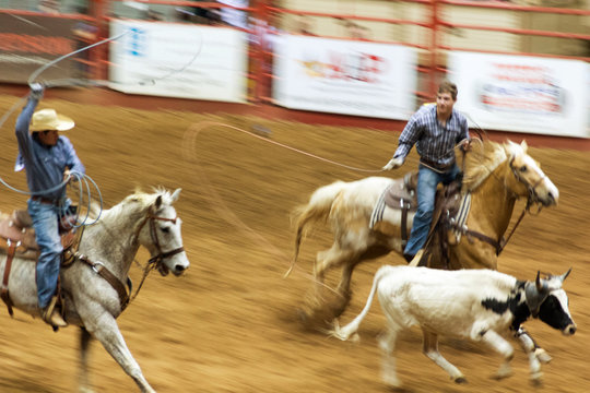 Fototapeta rodeo