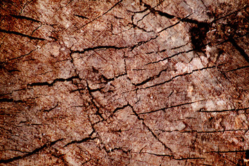 Designed grunge paper texture