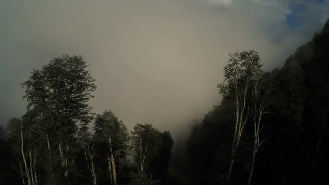 Lifts in mountains in summer fog