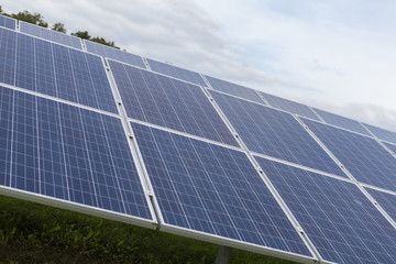 Field with blue siliciom solar cells alternative energy