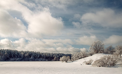 Fototapeta premium Landscape.frozen snowy lake, trees before the storm