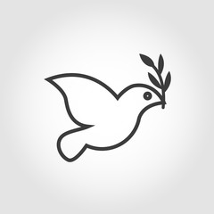 Vector white dove icon on grey background. Peace dove with olive branch. Dove outline thin symbol.