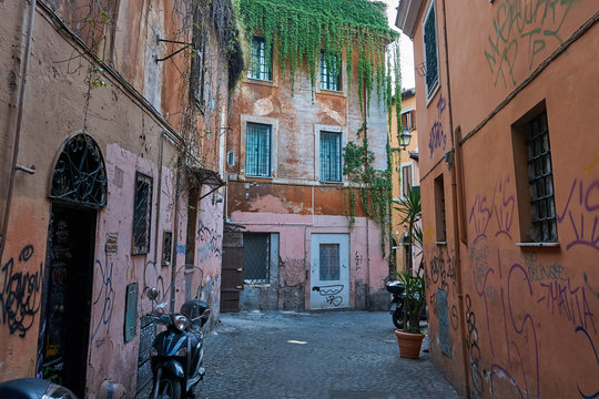 dilapidated houses with graffiti and plants