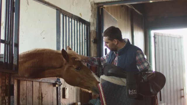 Man is stroking a horse in stable while holding a saddle. Shot on RED Cinema Camera.