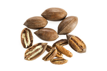 Pecan nuts isolated on white