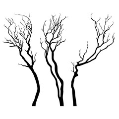 Vector Tree silhouette.
