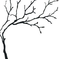 Fototapeta premium Black silhouette of a bare tree