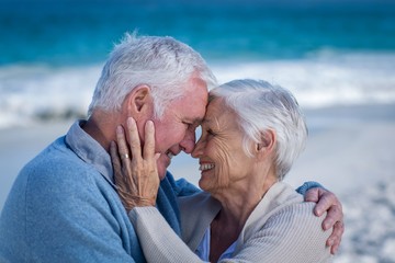 Senior couple embracing