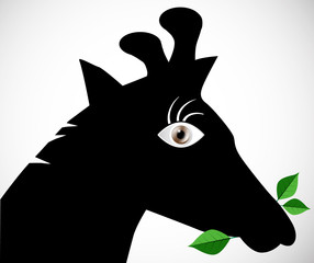 Giraffe Silhouette Eating Leaves with Big Eye Vector Illustration