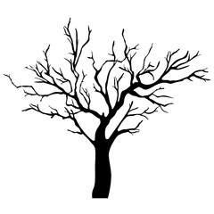 Vector tree silhouette