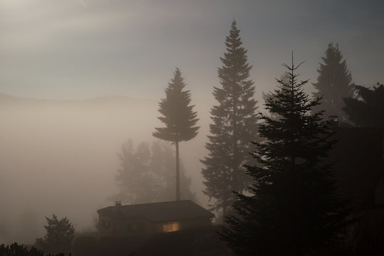Dark night haunted spooky challet in fog trees forest