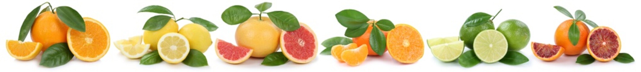 Sammlung Orangen Zitronen Mandarinen Grapefruit Früchte in eine
