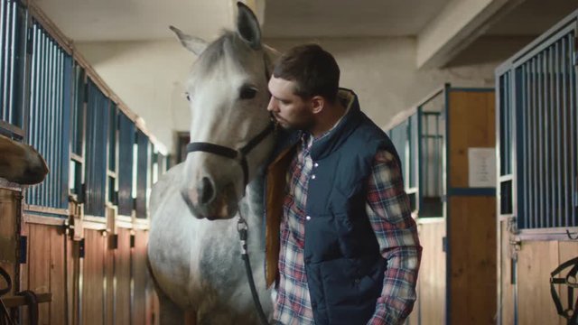 Man is stroking a white horse in a stable