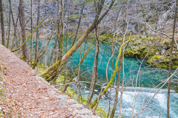 Footpath to Wild Lake and birth of the Jezernica River, 55 metres long, the shortest in Slovenia.