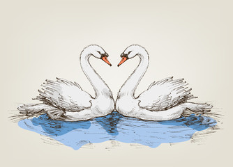 Two swans on lake love symbol