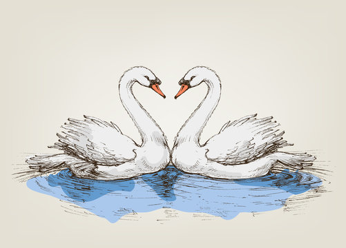 Two swans on lake love symbol