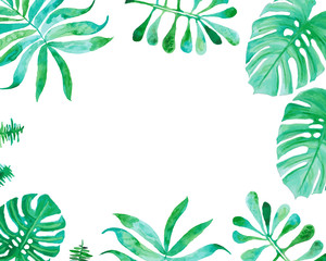 Watercolor drawing, palm trees or green leaves