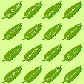 Vector icons on background of leaves - eco, eco friendly, bio, middle, ecology, organic.