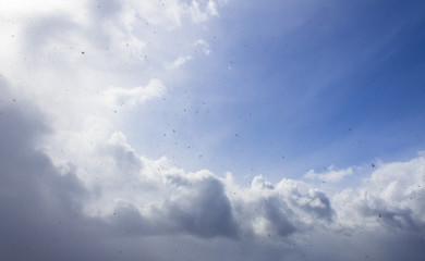 Clouds and sky on a sunny day. Nature, background, wallpaper abstraction.