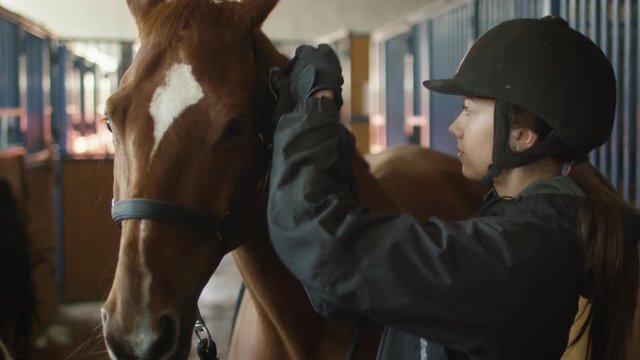 Young jockey girl is brushing a brown horse in a stable. Shot on RED Cinema Camera.