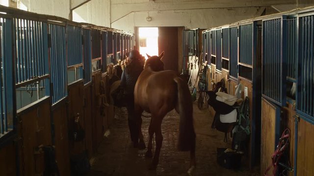 Young jockey girl is walking a horse out of a stable. Shot on RED Cinema Camera.