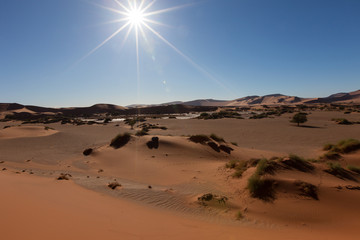 Fototapeta na wymiar Blick in die Namib-Wüste - Namib-Naukluft-Nationalpark